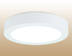 Surface mounted downlight