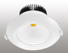 CoB LED Down Light